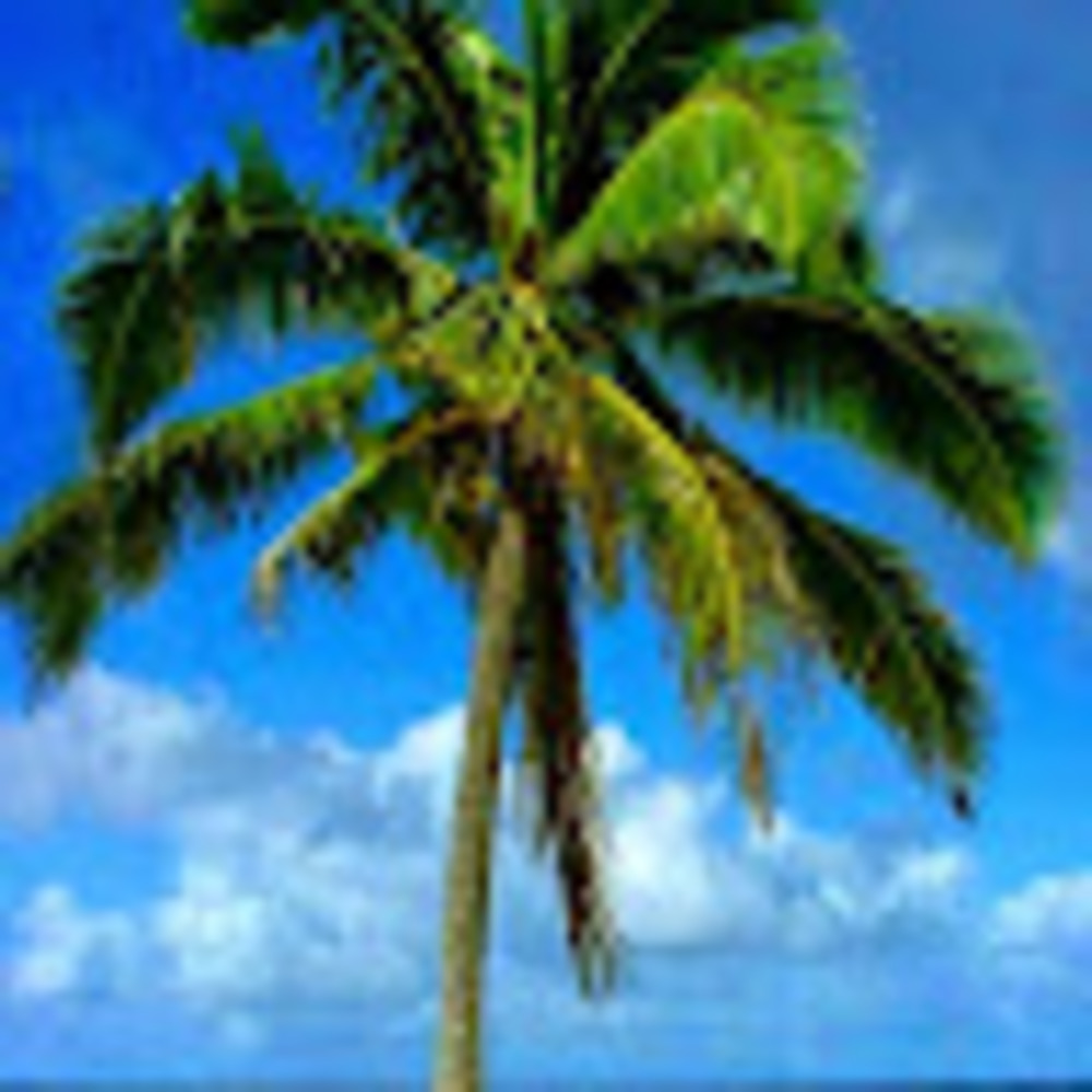 Meet your Posher, Lissa